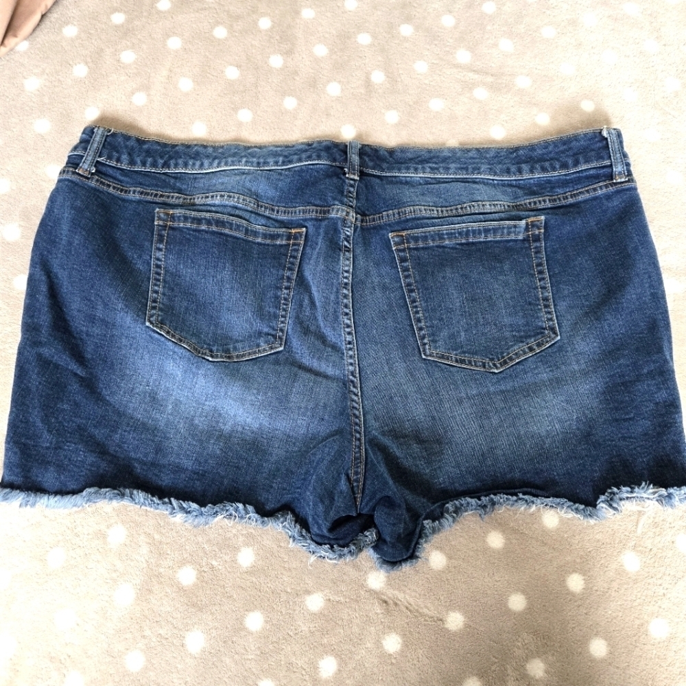 Torrid Blue Jean Shorts | Size 24 | Frayed Hem - Picture 8 of 14